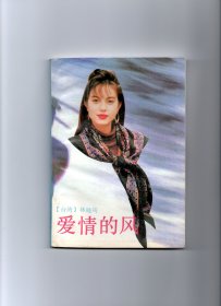 爱情的风 言情小说 林晓筠 1991年