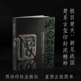 极目楚天：新见战国楚系古玺印封泥精粹 精装版