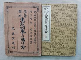 1927年（昭和2） 和本线装 南浦仙舟著《池の坊图解 生花四季の活け方》原函2册全！日本花道书：花道、生花、盛花、池坊、活植物花材造型的艺术。尺寸：长23厘米*宽16厘米*3.8厘米高