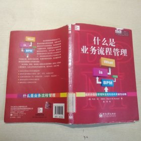 什么是业务流程管理：组织价值链管理和流程改进的突破性战略