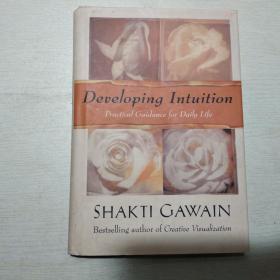 DEVELOPING INTUITION