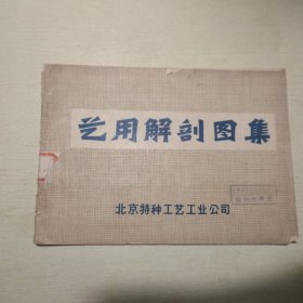 艺用解剖图集