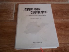 培育新动能  引领新常态——山东中小企业创新发展转型升级之路  （大16开本软精装。山东省中小企业局编）