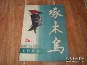 《啄木鸟》文学双月刊    1989年