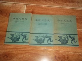 六十年代初人民文学社老版  中国文学史   （全三册一套 全 合售） （大32开本，中国科学院文学研究所中国文学史编写组编写。1962年7月北京第1版，1963年5月北京第4次印刷。个人收藏）