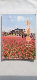 新巢湖（期刊）