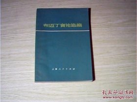 布迈丁言论选编