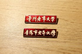 徽章胸牌 贵州老年大学 贵阳市老年大学 2枚