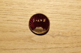 徽章 为人民服务(广州7)