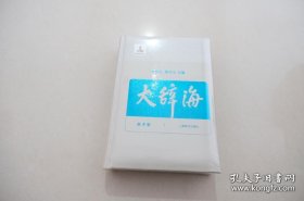 大辞海：美术卷