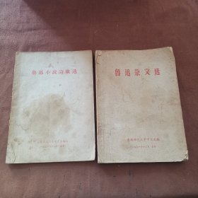 鲁迅小说诗歌选/鲁迅杂文选（两本合售）