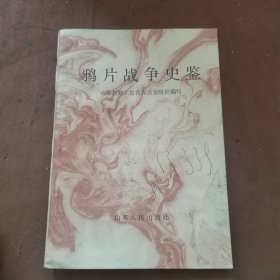 鸦片战争史鉴