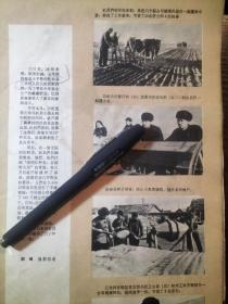 1960年扶余县三岔河公社主任蔡汗松、党委书记李凤阳和社员们一起播种小麦，