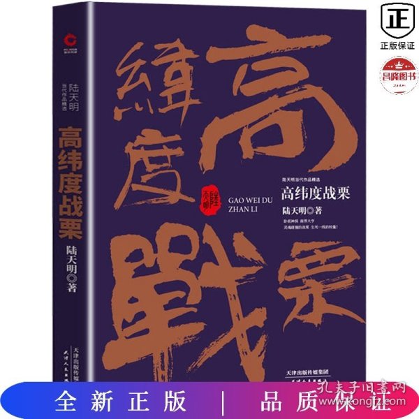 陆天明当代作品精选：高纬度战栗