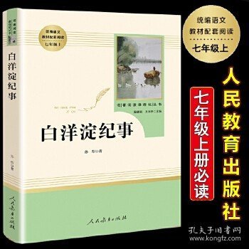 白洋淀纪事 名著阅读课程化丛书（统编语文教材配套阅读）七年级上