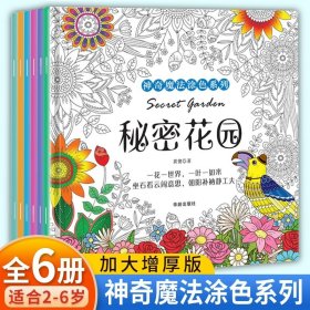 (全6册)秘密花园