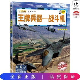 16开兵器帝国（3180161A00）王牌兵器-战斗机