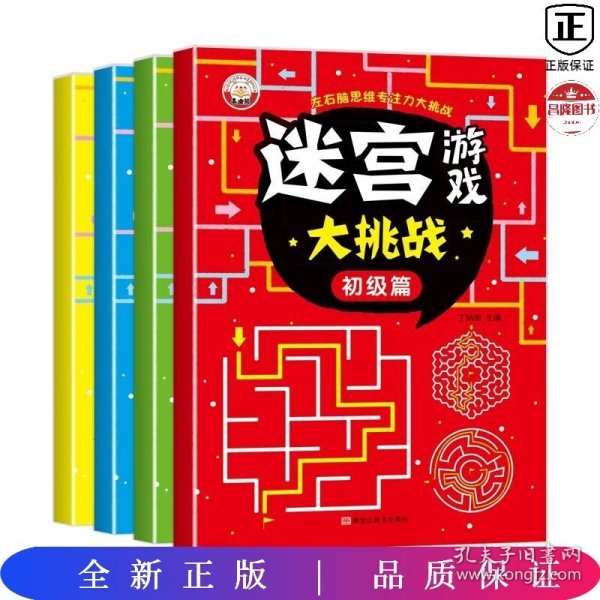 迷宫游戏大挑战（全4册）