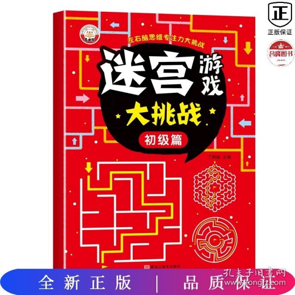 迷宫游戏大挑战（全4册）