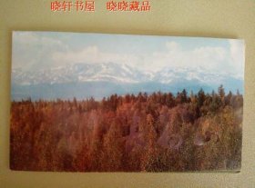 1993-9《长白山》特种邮票邮折  吉林省邮票公司发行