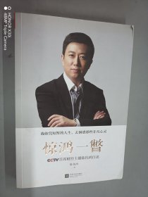 惊鸿一瞥：CCTV首席财经主播陈伟鸿自述