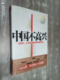 中国不高兴：大时代大目标及我们的内忧外患