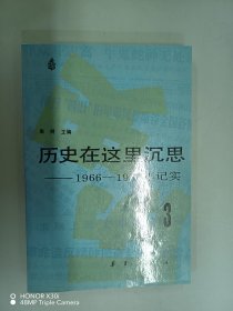 历史在这里沉思——1966——1976年纪实