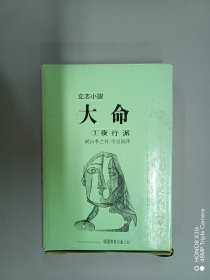 （韩文书）立志小说：大命 夜行派1【精装  32开 335页】