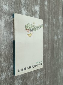 北京青年现代诗十六家