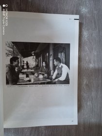 在故乡 ：关于鲁西南的田野考察