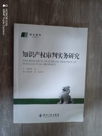 知识产权审判实务研究