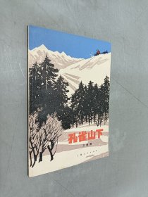 孔雀山下