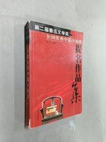 第二届鲁迅文学奖 全国优秀中篇小说奖 提名作品集