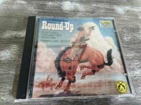 CD:Round-UP 单张碟