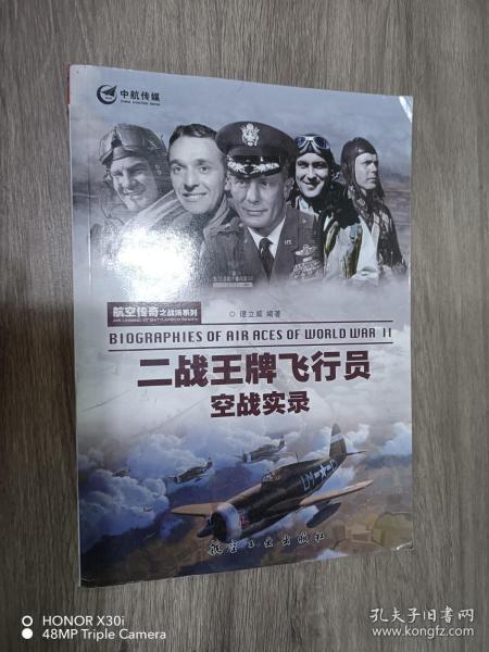 航空传奇之战场系列：二战王牌飞行员空战实录