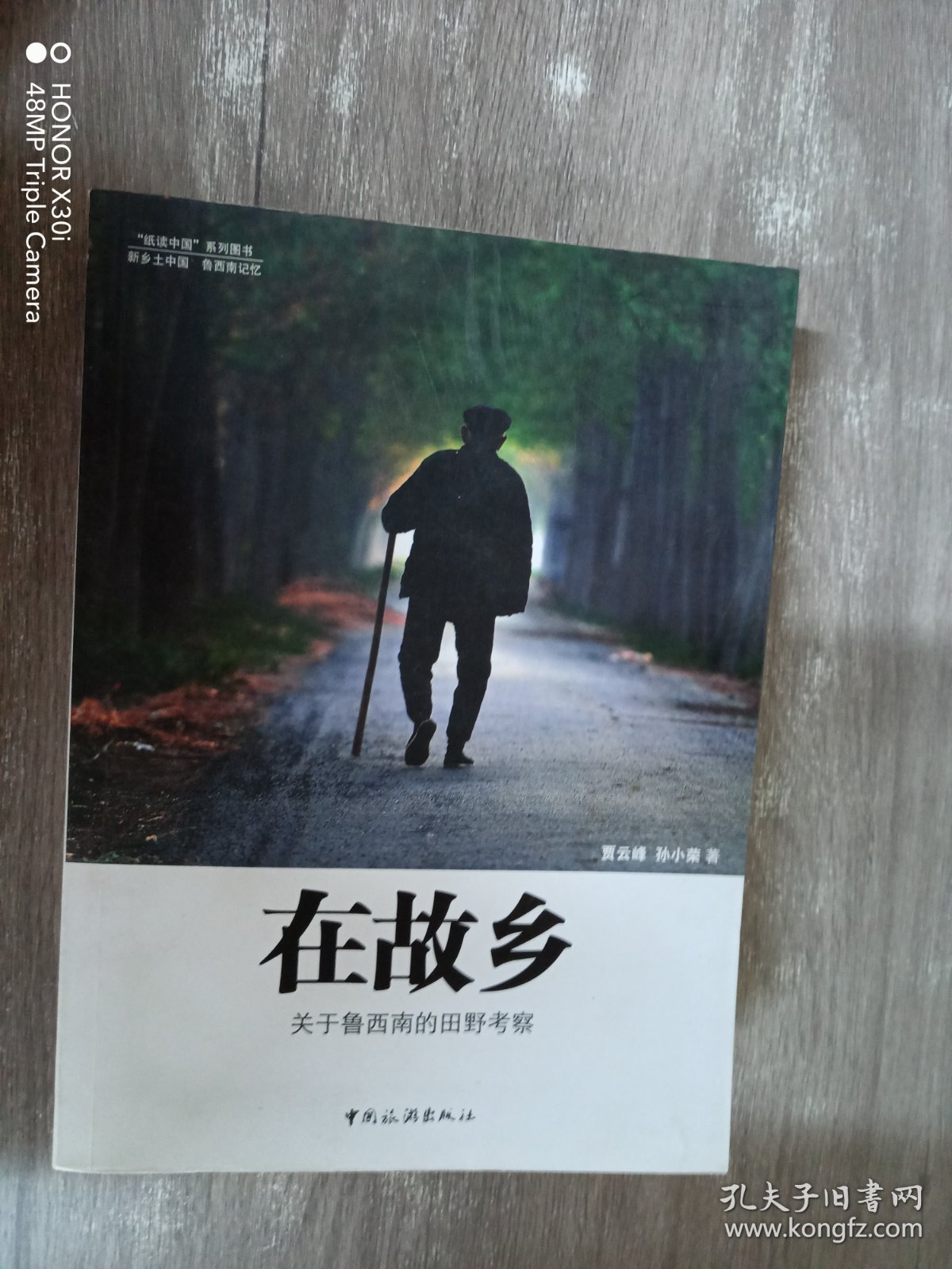 在故乡 ：关于鲁西南的田野考察