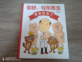 你好 安东医生：宝宝出生了（精装）