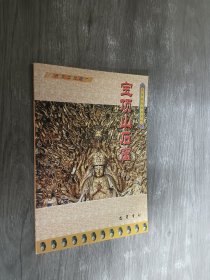大足石刻畫冊系列   寶頂山后窟