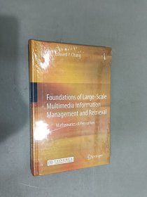 大规模多媒体信息管理与检索基础（英）：模拟人类感知数学方法 (精装 英文版)