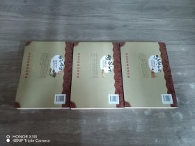 中华传统文学必读丛书（双色图文版）：说唐全传、围炉夜话全书解读、济公全传   共3本合售