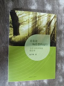 青春是一场思想的远行 : 文化与经济现象微思考