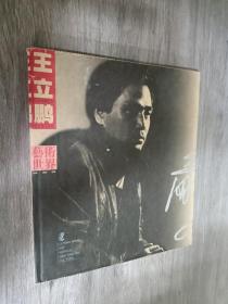 王立鹏 艺术世界 绘画卷