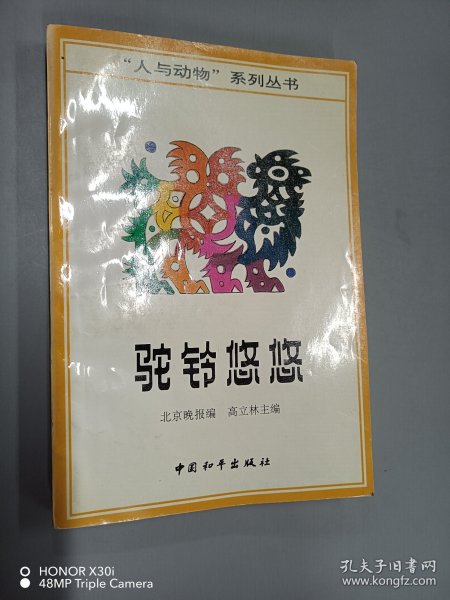 驼铃悠悠