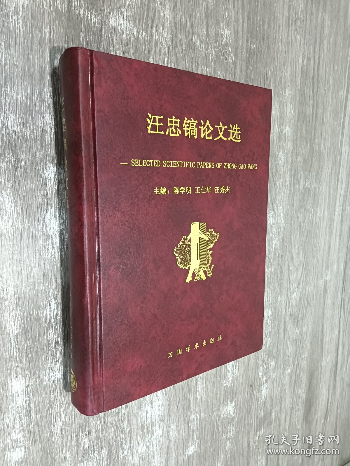 汪忠镐论文选 精装