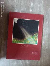 中国当代著名画家精品 艺术欣赏与实用手册（精装）2001年