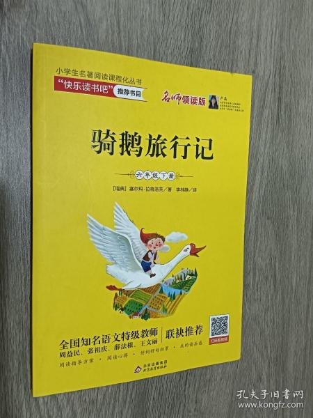 骑鹅旅行记（六年级下册名师讲解版）/“快乐读书吧”·统编小学语文教材配套阅读丛书