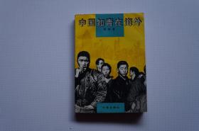 知青史料、文学：中国知青在海外