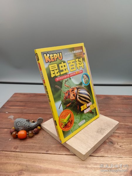 送给孩子的科普探索（共4册）动物百科+植物百科+昆虫百科+恐龙百科