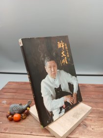 醉文明收藏马未都壹