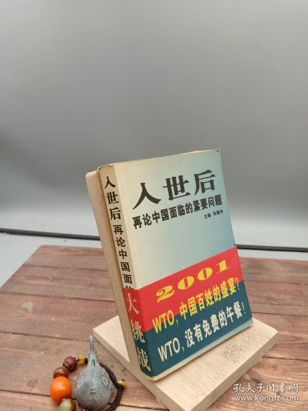 入世后再论中国面临的紧要问题